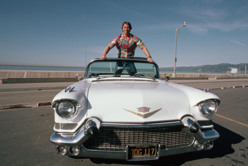 day, schwarzenegger, arnold, Producer, front View, transportation, nature, mode of Transport, retro Styled, portrait, uSA, looking at camera, men, happiness