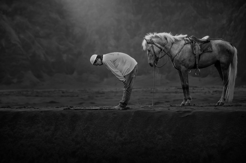 1080P, men, monochrome, Indonesia, Islam, horse, animals, praying