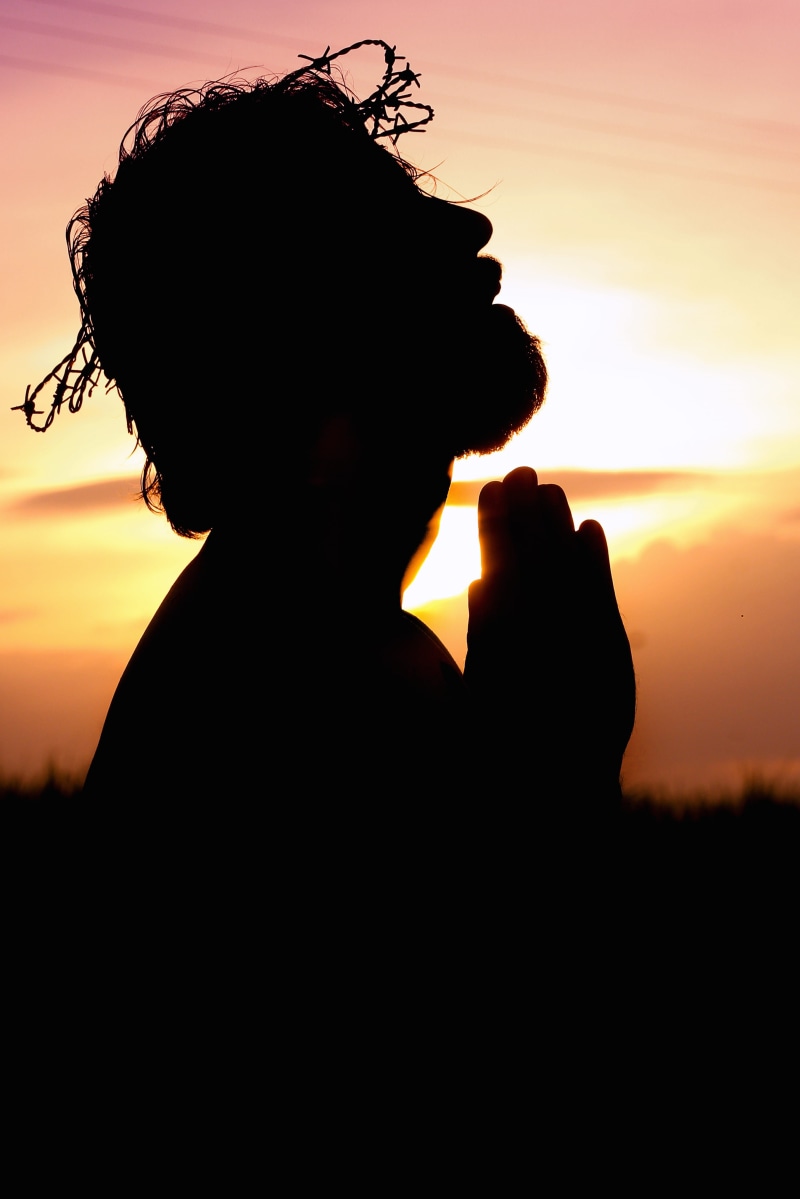 crown, detail, background, sun, photography, person, adult, belief, hairstyle, thorns, silhouette, one person, landscape, faith, lifestyles, image, real people