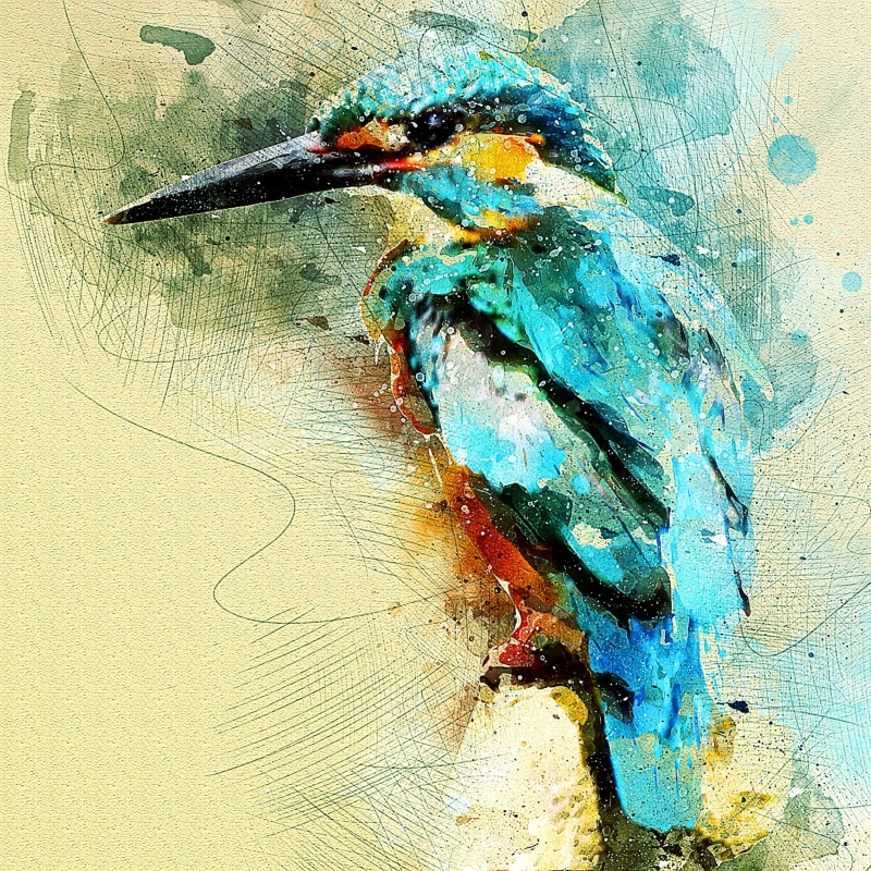 colors, sitting, close-up, 1080P, paint, digital painting, high angle view, animal wildlife, indoors, painted, painted image, beautiful, season, representation