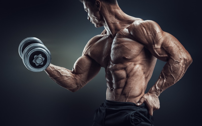 POS, 2K, Vorkuta, workout, dumbbell, bodybuilder, mossles