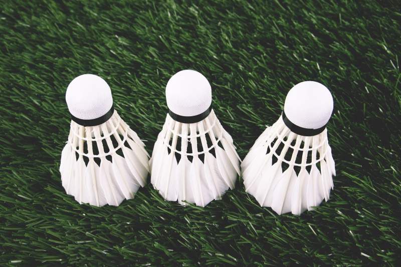 in a row, sports, land, 4K, group of objects, leisure Activity, nature, field, day, white color, plant, various, winning, Shuttlecock, high angle view