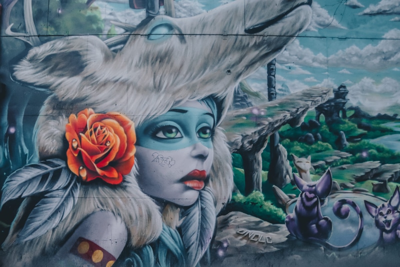 vandal, denmark, portrait, paint, female likeness, vandalism, disguise, flowering plant, design, draw, human representation, plant, graffiti, outdoors