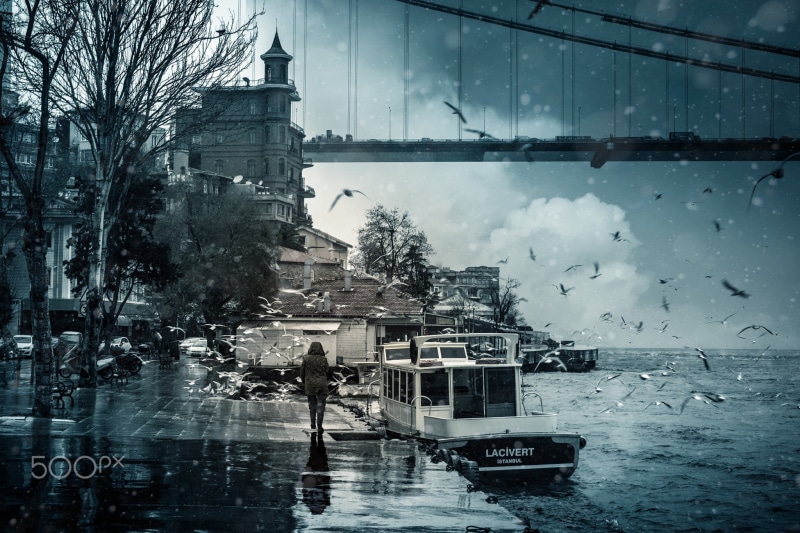 Turkey, Bosphorus, rain, boat, seagulls, 1080P, photography, birds, sea, Istanbul, bridge