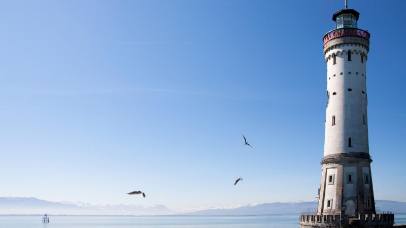 animal themes, bird, 4K, building exterior, animal, no people, built structure, day, lindau, animal wildlife, guidance, lake constance, europe, architecture
