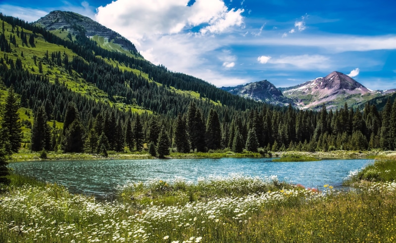 View, day, United States, no people, Crested, coniferous tree, tranquil scene, slate, growth, Flowers, Nature, Rocky, visit, Butte, Lake, unitedstates