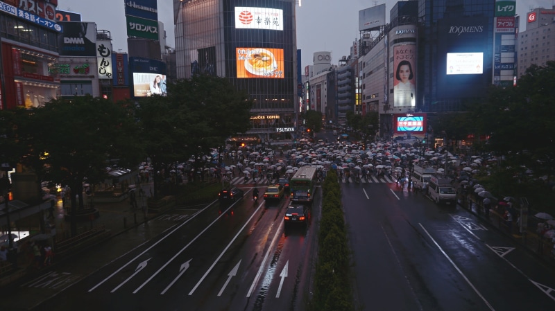 tree, marking, sign, transportation, illuminated, road, gray, built structure, outdoors, mode of transportation, buildings, office building exterior, city street