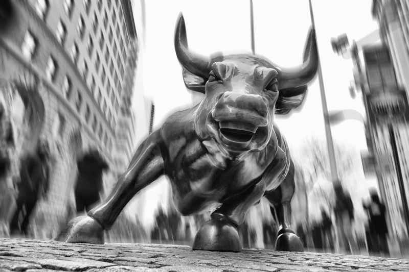 livestock, day, USA, one animal, grayscale, building exterior, Wall street, digital, vertebrate, 1080P, city, nature, animal wildlife, mammal, animal themes