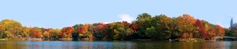 tranquility, reflection, Central Park, outdoors, plant, tree, sky, multi colored, autumn, 5K, New York City, beauty in nature, scenics - nature, water