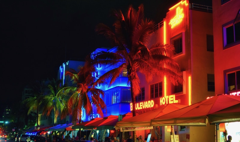nature, palm tree, night, architecture, starlite hotel, neon, tropical climate, restaurant, building exterior, plant, united states, outdoors, hotel, city life