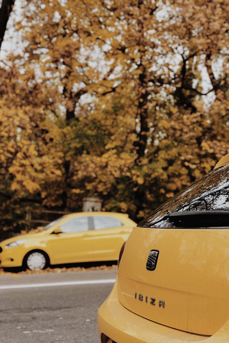 automobile, mode of transportation, spoke, focus on foreground, tree, plant, still life, on the move, roadside, screen, vehicle, lcd screen, car, land vehicle