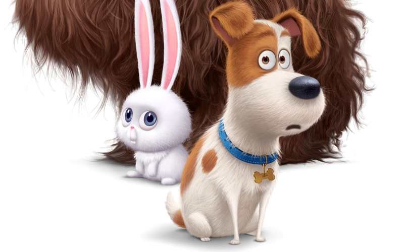 secret, pets, life, the secret life of pets, hare, cute, movie, dog, 2016, 1080P, cartoon
