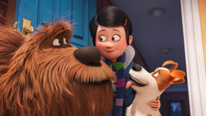 life, digital, dog, 4K, secret, Best Animation Movies of 2016, The Secret Life of Pets, cartoon, pets, characters