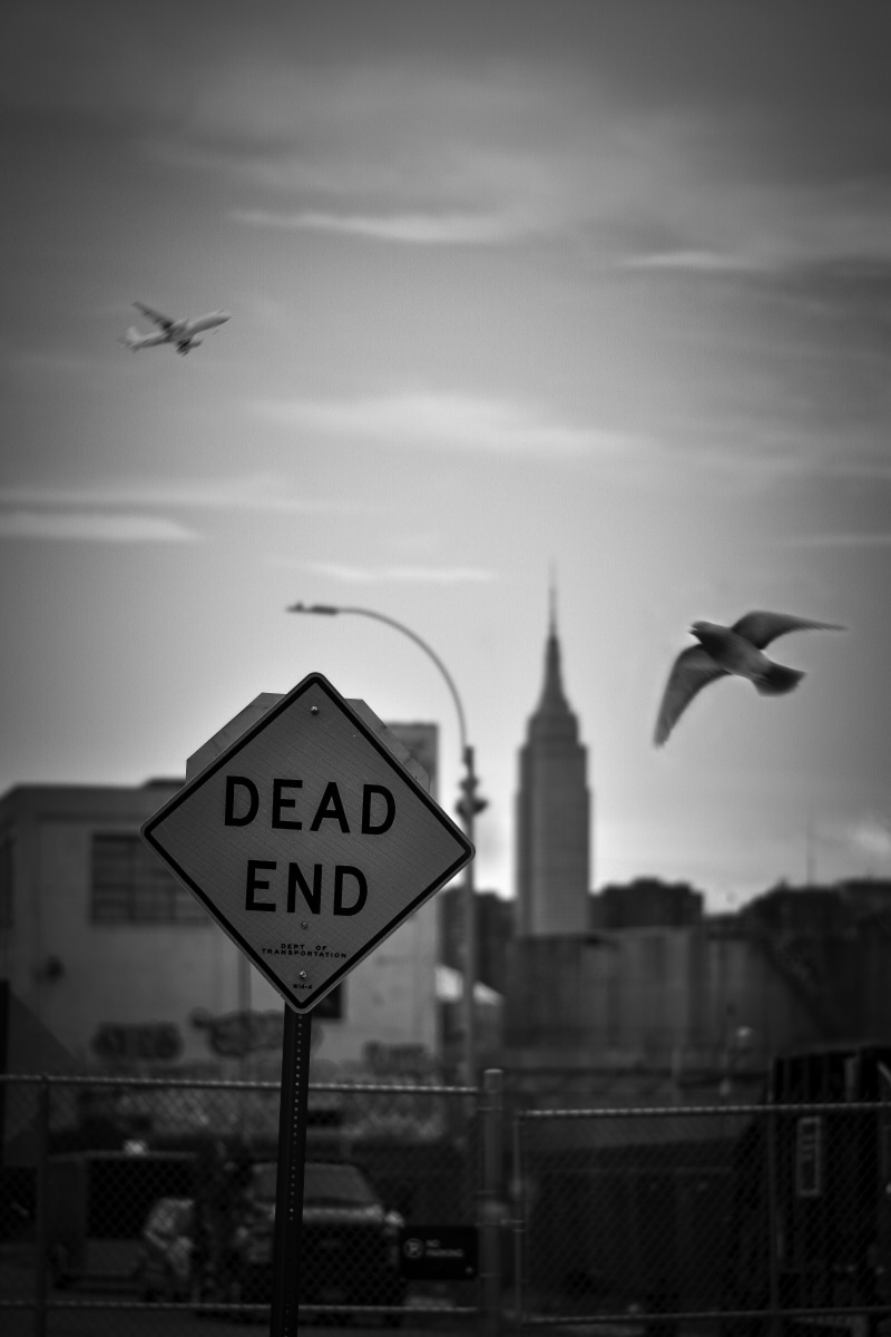 dead, sign, person, animal wildlife, human, vertebrate, symbol, no people, street, focus on foreground, animal themes, outdoors, building exterior, automobile