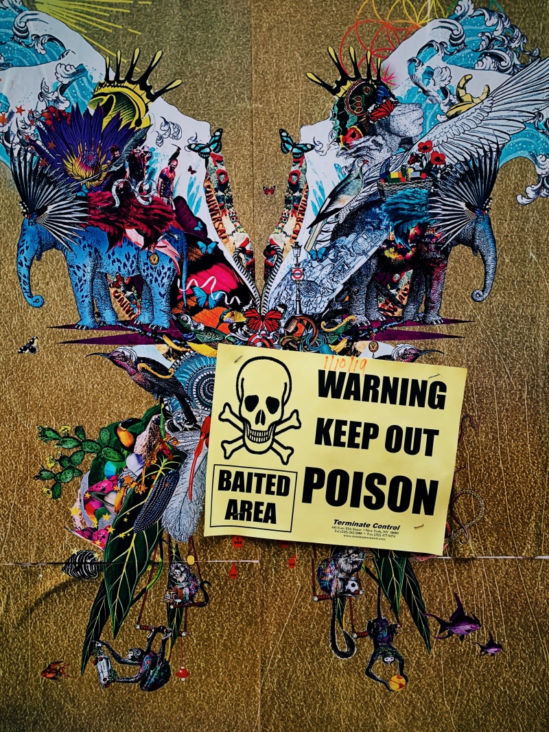 communication, choice, multi colored, mural, painting, drawing, bird, warning, outdoors, signage, western script, no people, large group of objects, craft