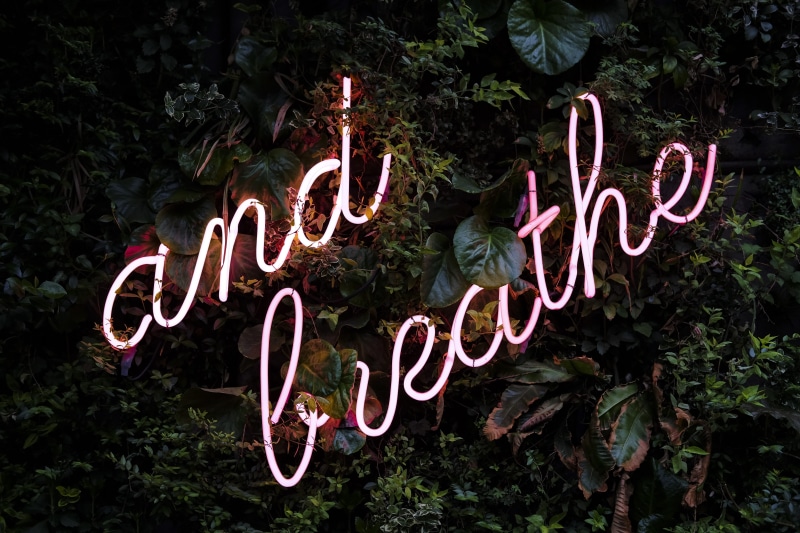 green color, leafed, beauty in nature, communication, neon, red, nature, greenery, positive emotion, heart shape, outdoors, love, pink, signage, emotion