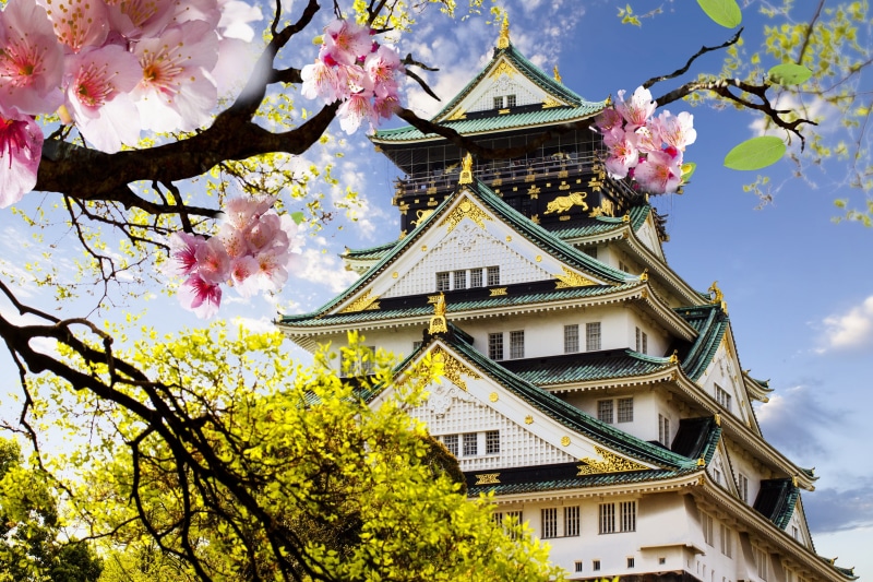 building exterior, branch, fragility, Japan, Osaka Castle, growth, outdoors, day, building, low angle view, plant, nature, cherry tree, tree, 2K, built structure