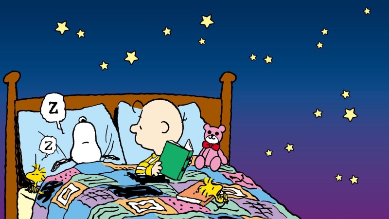 comics, peanuts, 1080P, brown, snoopy, charlie