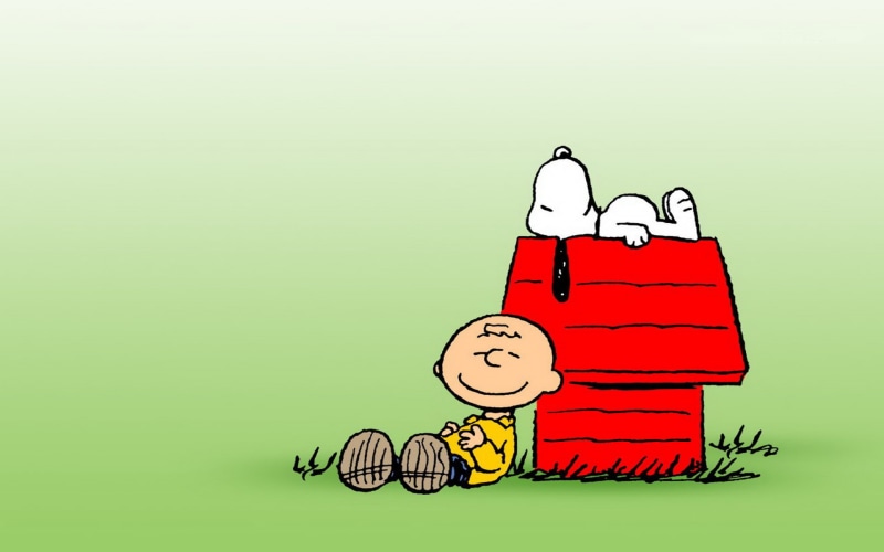 snoopy, charlie, 1080P, brown, peanuts, comics