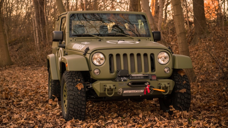 off roading, vintage car, mode of transportation, jeep, motor vehicle, land, field, plant, tree, nature, forest, stationary, land vehicle, retro styled