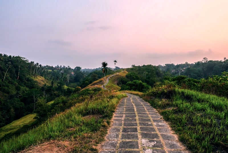 asia, sky, palm trees, path, sunset, land, direction, tranquility, southeast asia, cloud - sky, tranquil scene, landscape, the way forward, 4K, ubud, environment