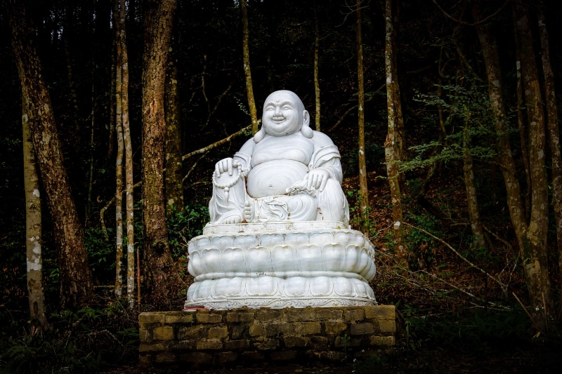 spirituality, laughing, traditional, monk, craft, architecture, asia, creativity, belief, representation, nature, ancient, thai, forest, worship, statue