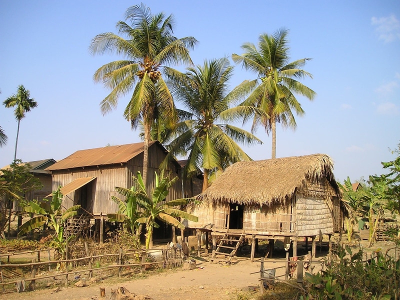 tree, growth, trees, tropical climate, cambodia, near, roof, asia, palm tree, building exterior, house, simply, thatched roof, sky, cottages, nature, land