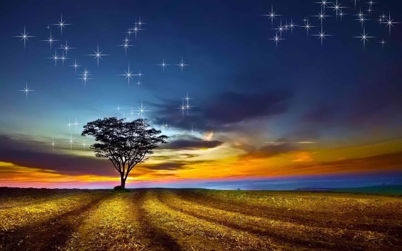 colorful, track, 3d and abstract, nightfall, field, 1080P, starry, tree