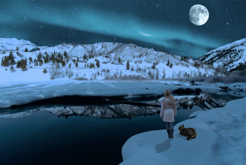 golden, snow field, snowfall, girl, hour, lake  mountain, cold  water, girl  alone, WOW, surreal, golden hour, aurora  borealis, fall, nature, cat, night  time