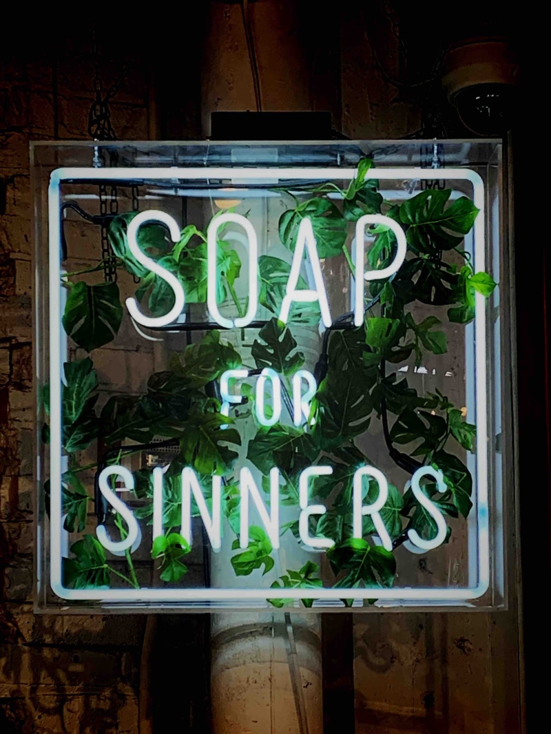 plant, pharmacy, book, mannequin, white, transparent, nature, green, sign, food, deli, text, window display, information sign, communication, sinners, vines