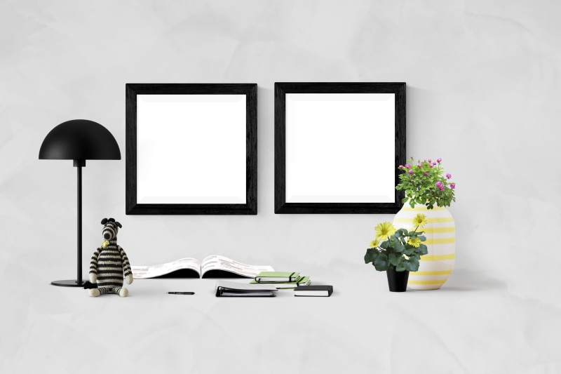 picture frame, gallery, screen, plant, stock, studio shot, nature, indoors, blank, template, copy space, canvas, mock, picture, arrangement, white color