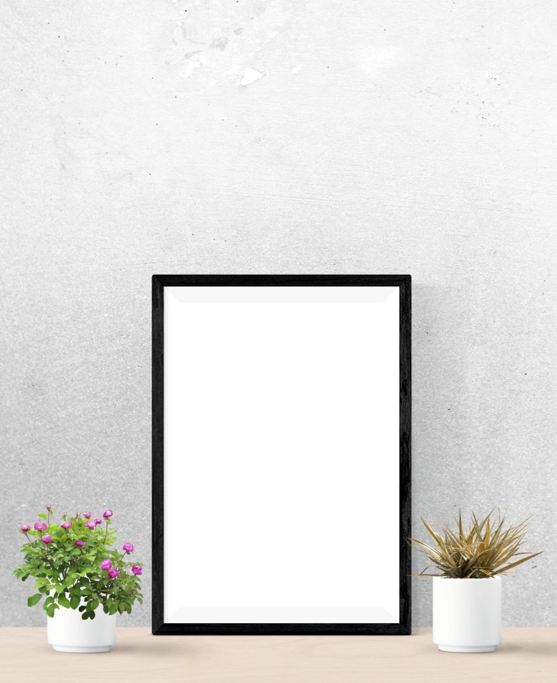 flower head, frame, gallery, wall - building feature, plant, realistic, flowering plant, still life, no people, houseplant, blank, flower, wall, freshness