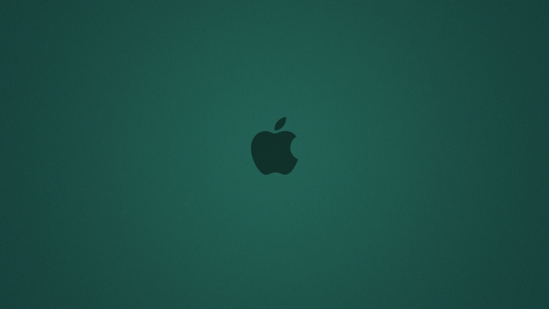 low angle view, Apple, vertebrate, nature, animal wildlife, animals in the wild, Logo, bird, no people, copy space, full frame, directly below, one animal