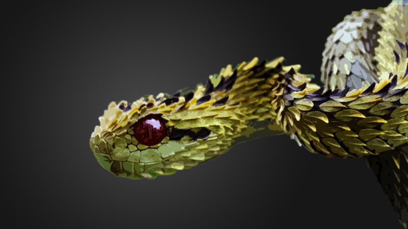 animal eye, cut out, vipers, snake, animal body part, indoors, beauty in nature, black background, closeup, animals in the wild, studio shot, animal head