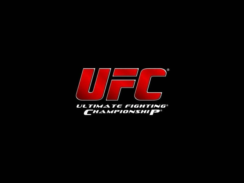 mma, fighting, martial, poster, 720P, ufc, arts, wrestling, boxing