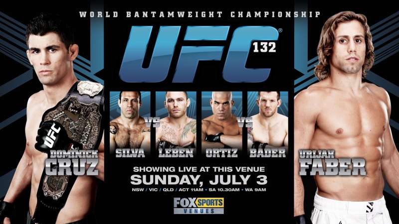 mma, martial, fight, ufc, 1080P, mixed, extreme, poster, arts, posters