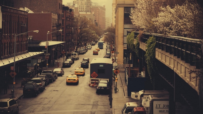 residential district, street, transportation, mode of transportation, direction, day, plant, motor vehicle, nature, building exterior, built structure