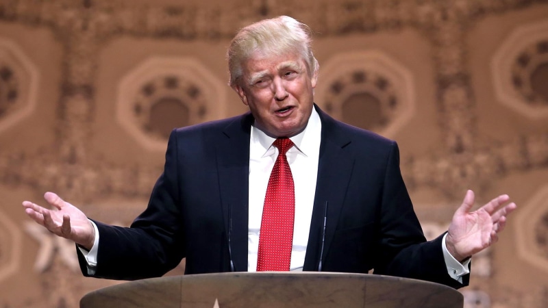 professional Occupation, trump, business Person, old, manager, one Person, donald, gray Hair, smiling, performance, suit, speech, happiness, tie, senior Men