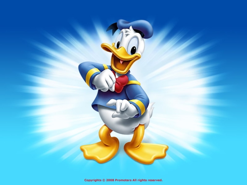 hd, duck, donald, animals, 480P, ducks, x, art, Donald Duck