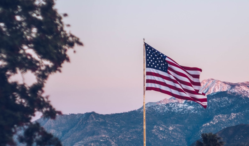 nature, pole, scenics - nature, travel, pride, plant, beauty in nature, adventure, tree, sovereignty, no people, trees, environment, 2K, american Flag