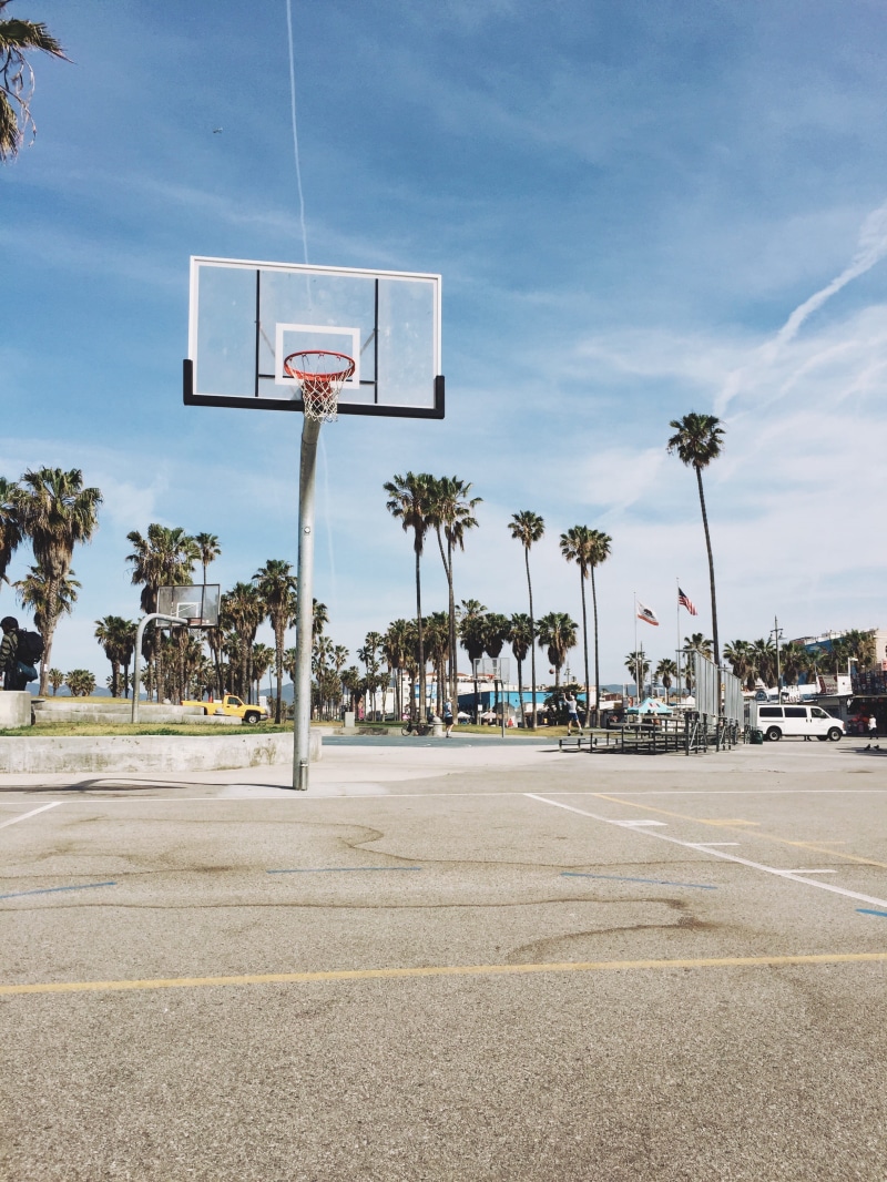 nature, cloud - sky, united states, palm tree, trees, street, basketball - ball, tree, sunlight, basketball hoop, basketball, outdoors, sky, 2K, tropical climate