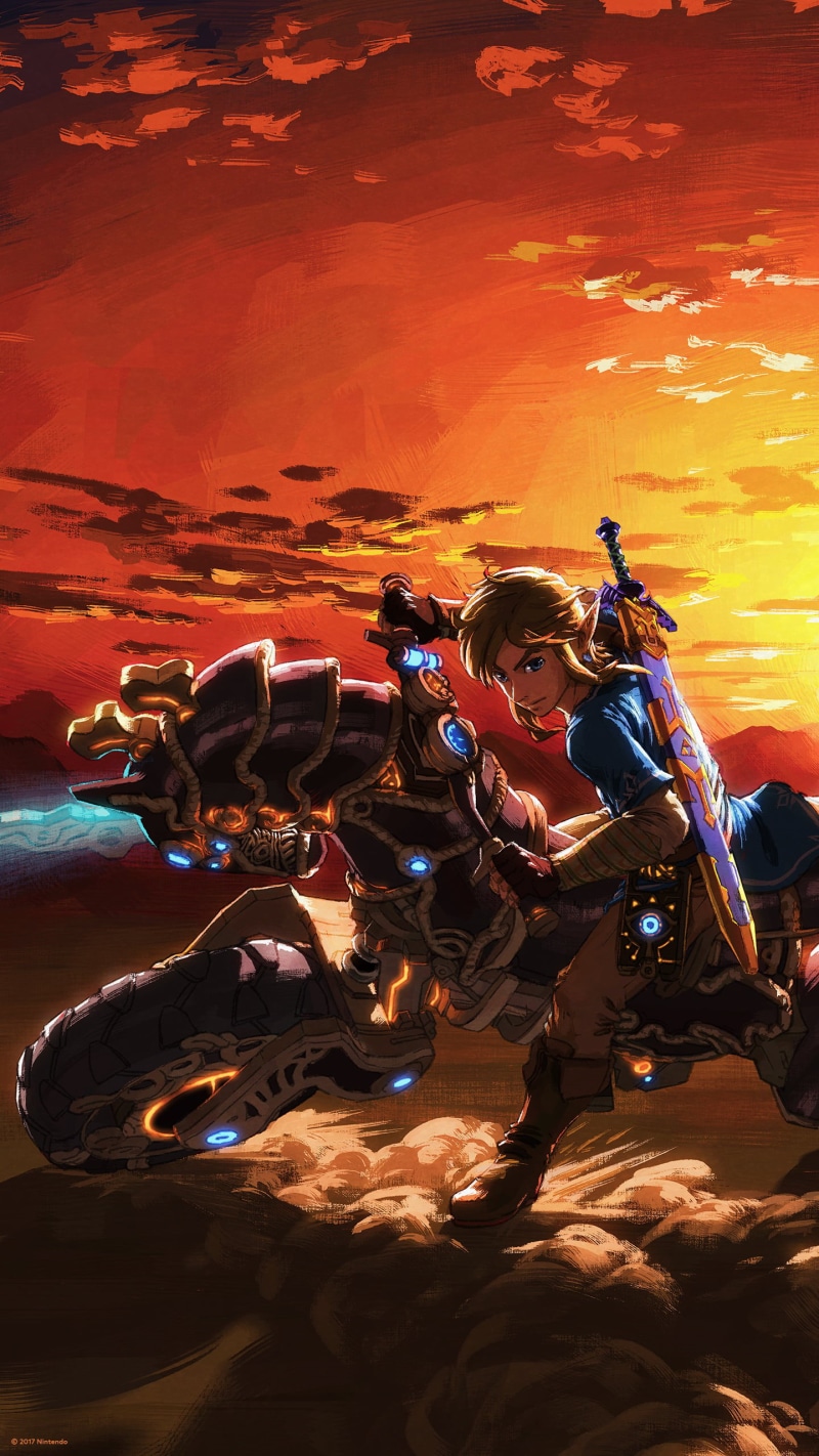 young men, skill, young adult, The Legend of Zelda: Breath of the Wild, transportation, young women, adult, outdoors, Nintendo, motion, sitting, Link, night
