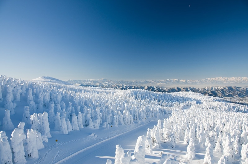 Yamagata, winter, road, mountain, white, zao, snow, onsen, 1080P, trees, resort, forest, Japan, Yamagata Zao Onsen Ski Resort, ski