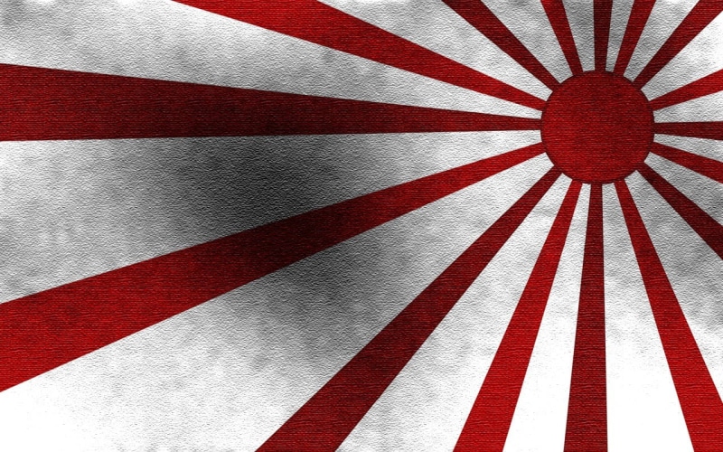 wall - building feature, day, geometric shape, close-up, Sun, white color, Japan, no people, 720P, shadow, sunlight, textured, shape, flag, full frame