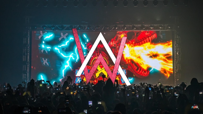 music festival, alan walker, night, performance, music, event, positive emotion, light, group of people, nightlife, festival, crowd, lifestyles, stage light