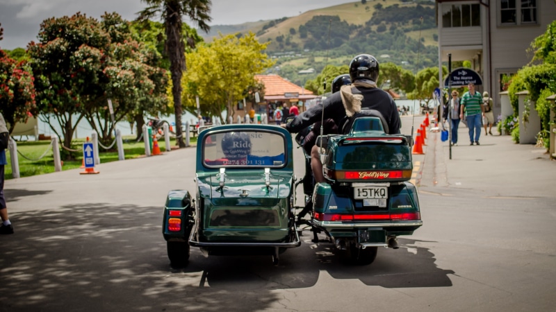 group of people, land vehicle, plant, Moto, motorcycle, incidental people, day, mode of transportation, travel, men, road, built structure, people, large group of people