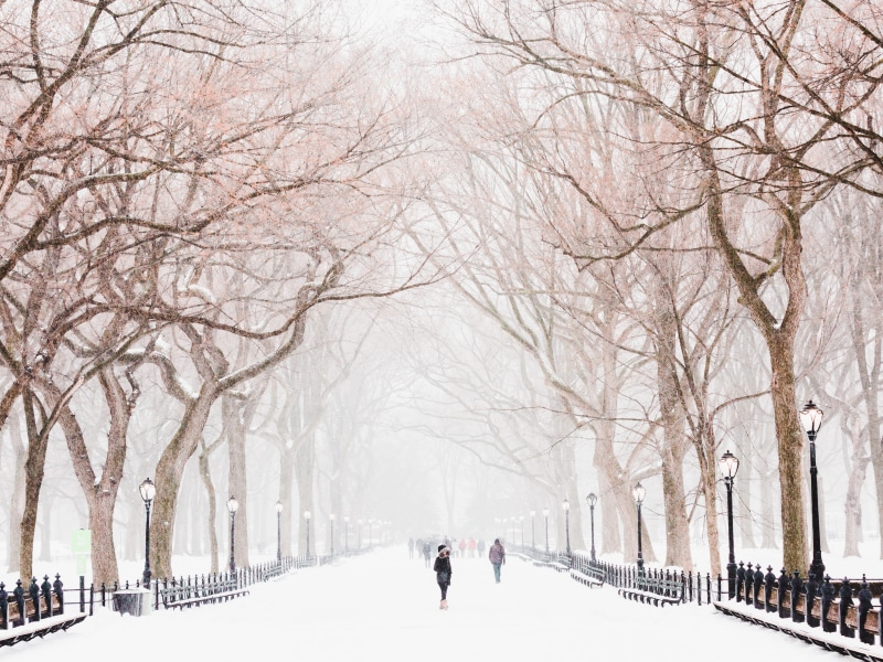 frozen, urban Scene, walking, nature, Stella, branch, mall, outdoors, people, winter, daytime, lifestyles, 4K, incidental people, day, Snowstorm, central