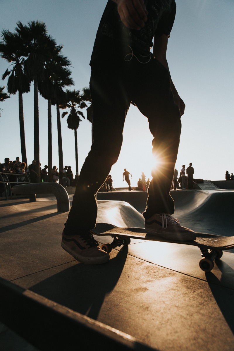 venice skate park, palm tree, riding, low section, tropical climate, venice, skate, nature, skate or die, real people, people, 5K, push, skater, silhouette