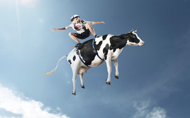 jumping, skateboard, pets, emotion, domestic animals, arms raised, human limb, humor, 1080P, cow, one person, dog, one animal, mid-air, mammal, cloud - sky