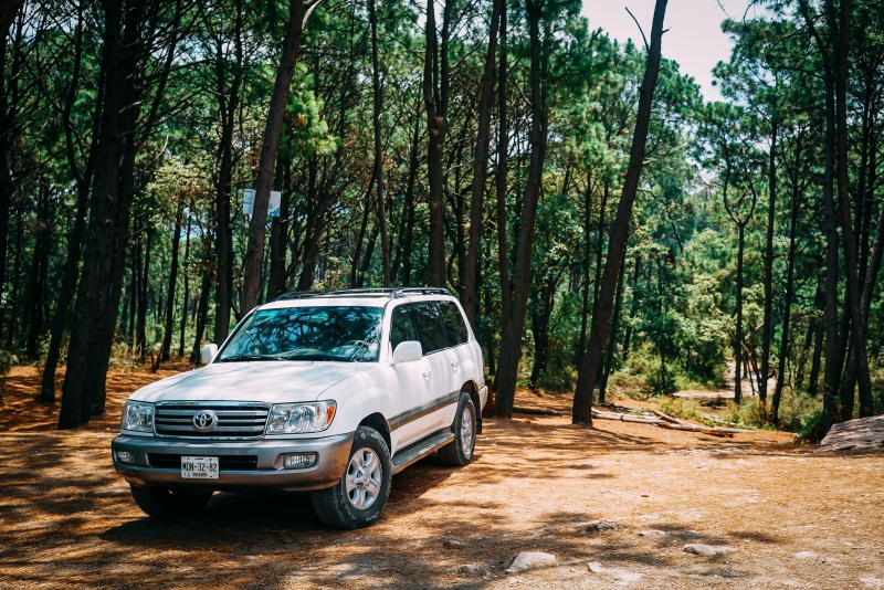 no people, motor vehicle, woods, plant, woodland, toyota, growth, automobile, car, 4K, 4x4, nature, grille, automotive, tree, tyres, trees, tires, forest